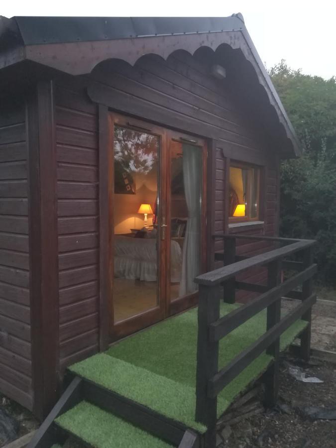 Stay With Your Pet Killarney Exterior foto