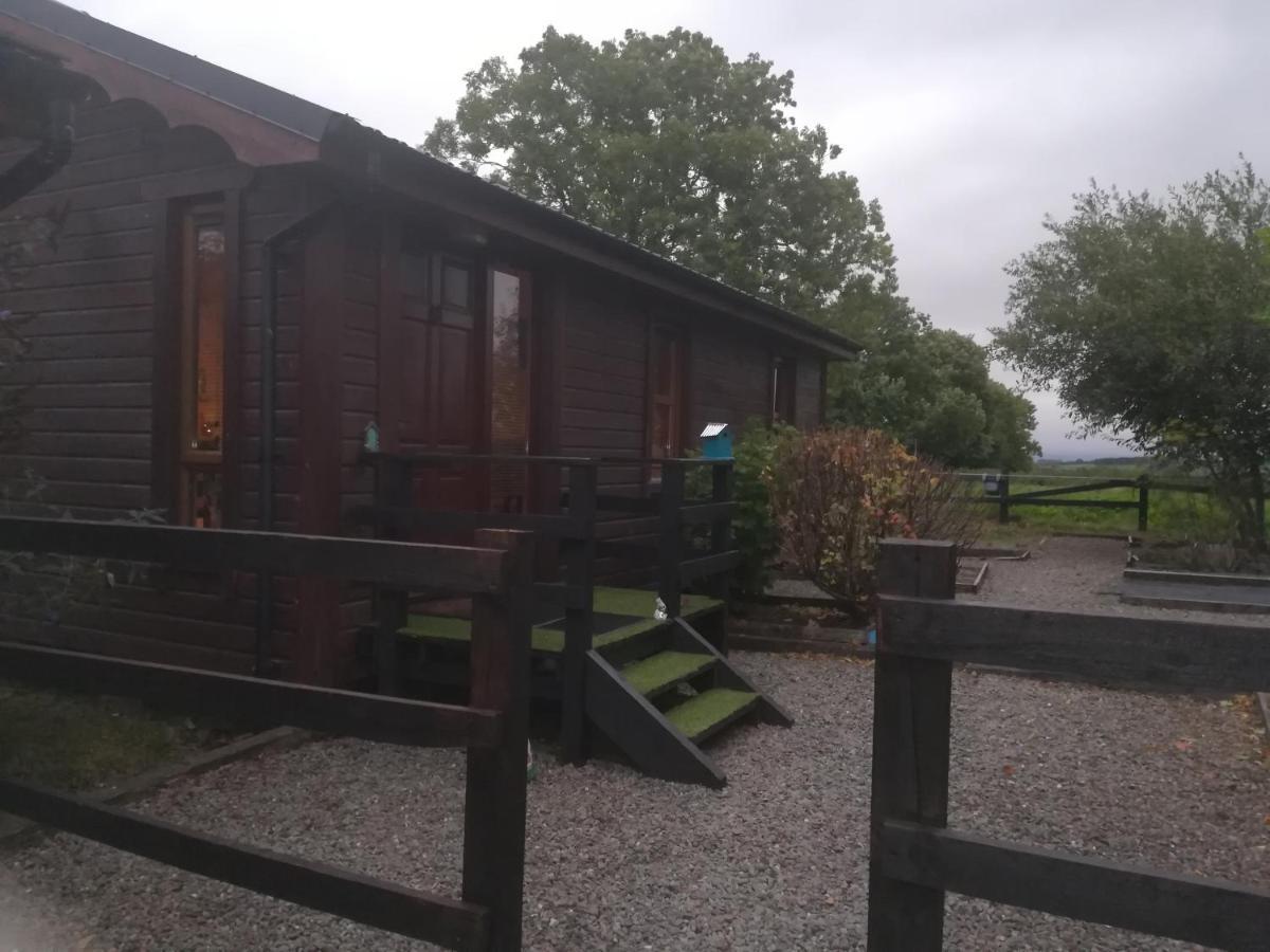 Stay With Your Pet Killarney Exterior foto