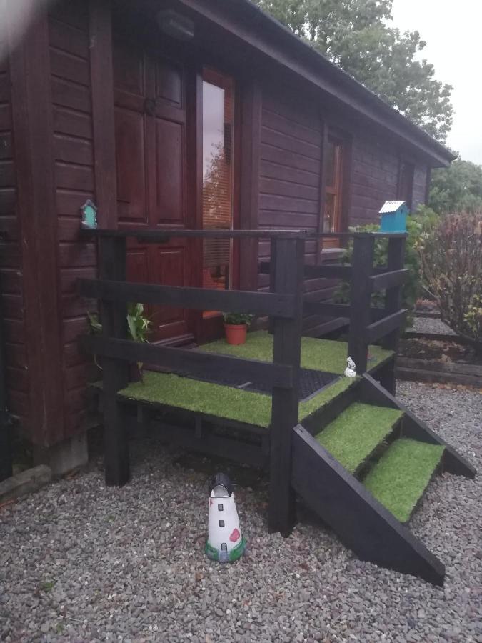 Stay With Your Pet Killarney Exterior foto