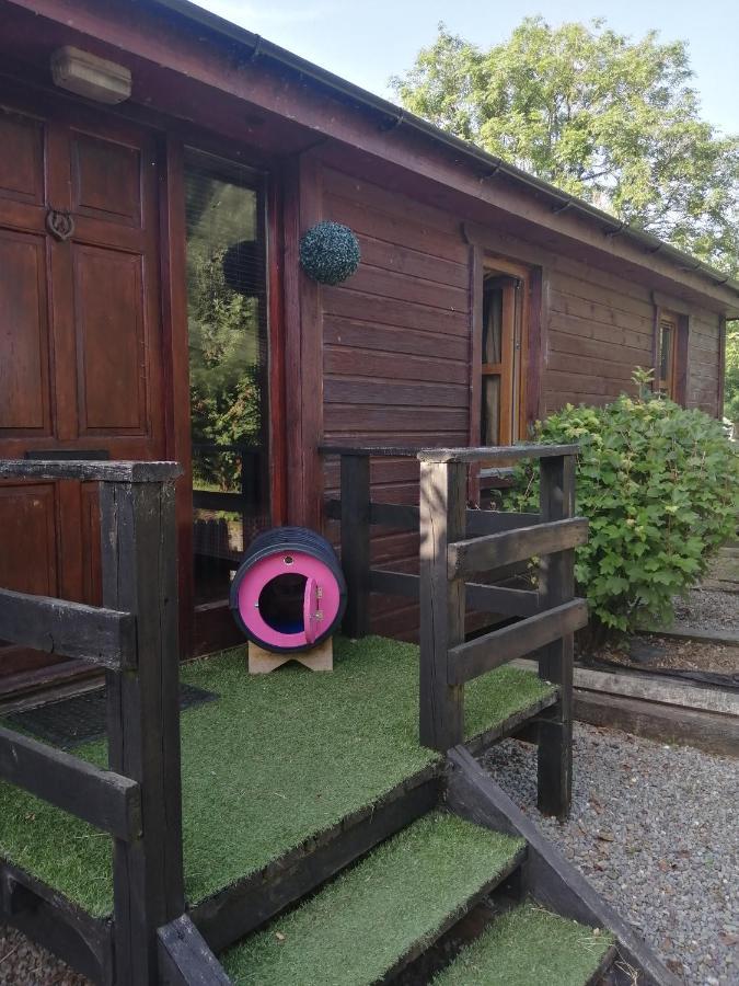 Stay With Your Pet Killarney Exterior foto