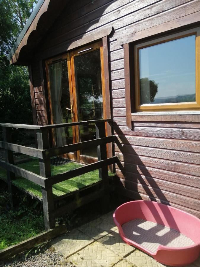 Stay With Your Pet Killarney Exterior foto